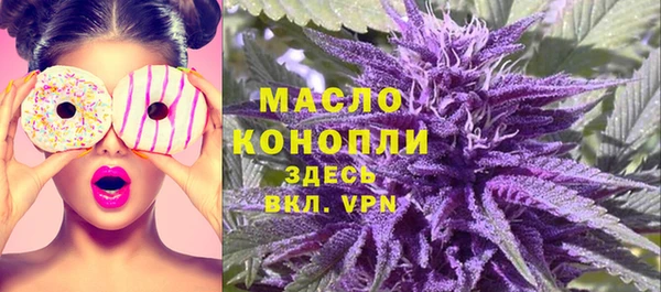 спиды Богородицк