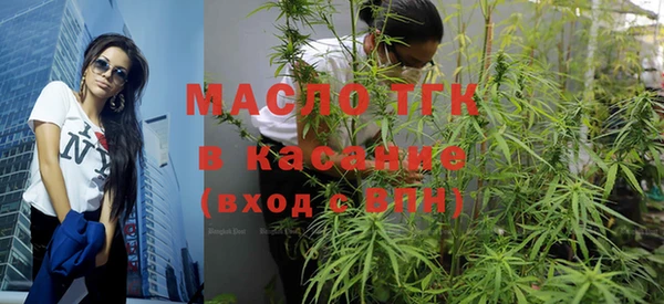 спиды Богородицк