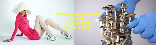 спиды Богородицк