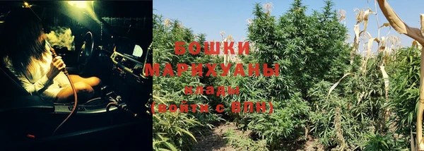 спиды Богородицк