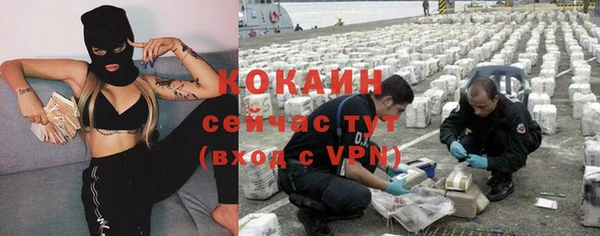 спиды Богородицк