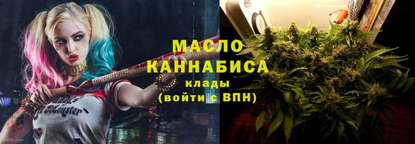 спиды Богородицк