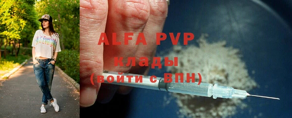 спиды Богородицк